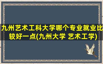 九州艺术工科大学哪个专业就业比较好一点(九州大学 艺术工学)